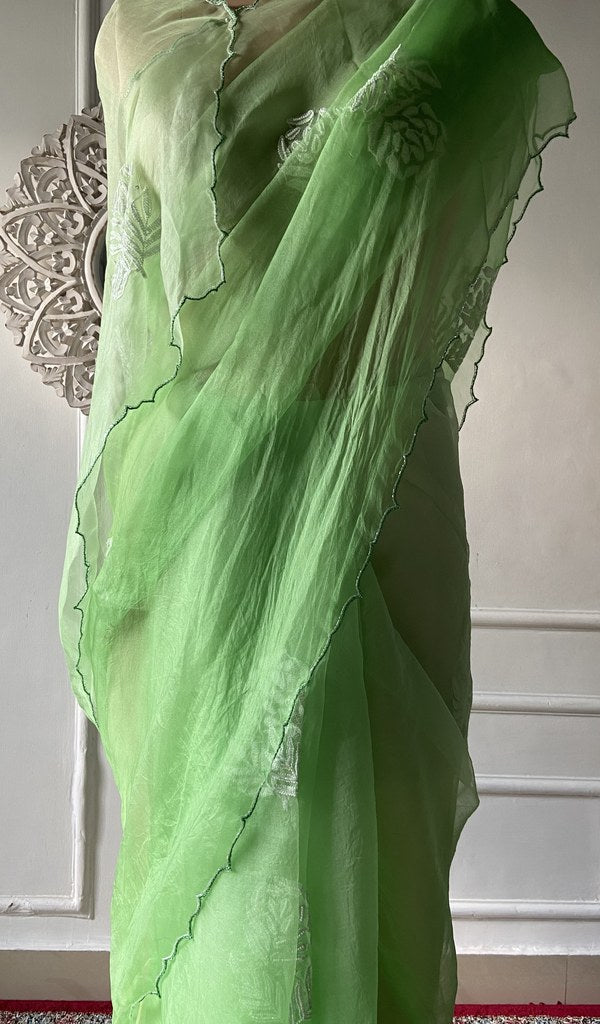 Border and hem of the parrot green pure organza silk