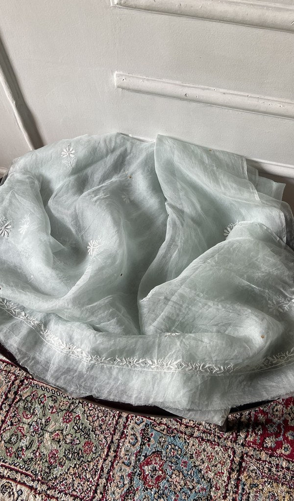 Chikankari across the body of the sage kurta piece
