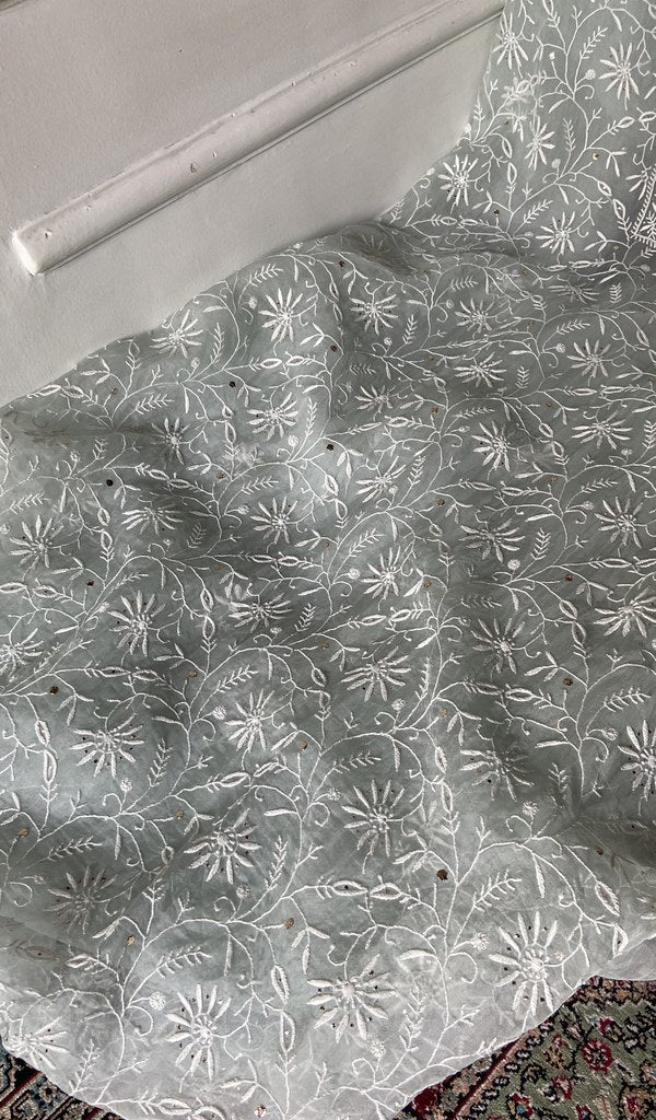 Gala and front panel worked in fine do taar chikankari