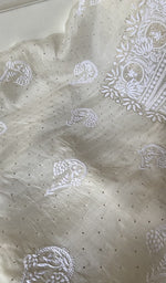 Gala and front panel worked in fine chikankari