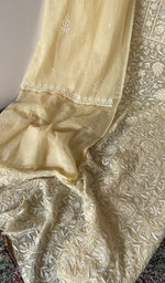 Gala and front placket, fine jaaldar chikankari