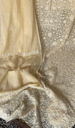 Fine jaaldar chikankari across the body of the kurta piece