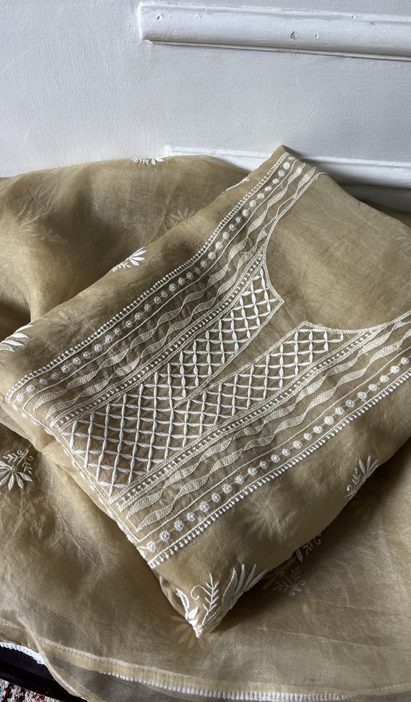 olive green pure organza silk chikankari set on the mannequin, dupatta on the stand