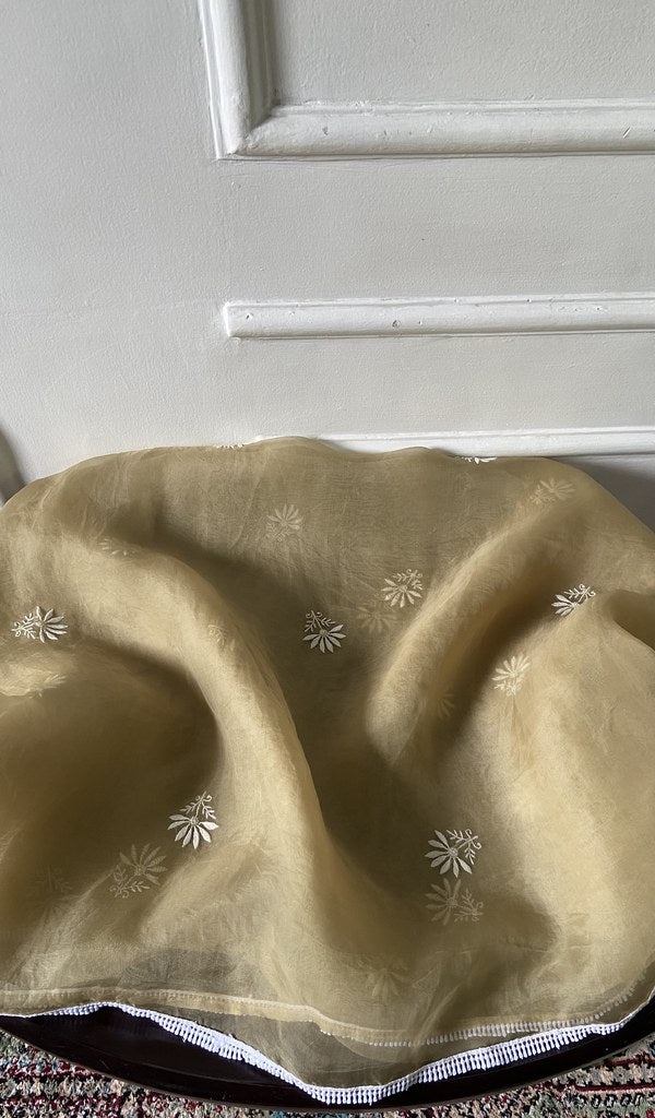 dupatta detail with the border work