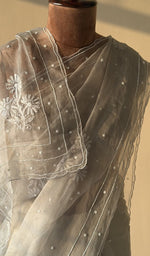 Cream organza silk saree, lower half