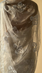 Embroidery on the cream saree, close view