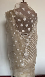 Beige organza silk saree, lower half