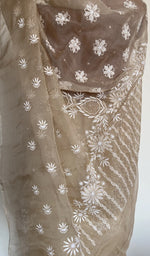 Saree on the mannequin, back view