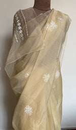 Saree on the mannequin, upper half