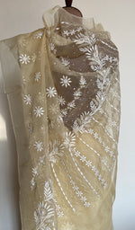 Saree on the mannequin, three quarter view