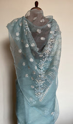 Sky blue organza silk saree, lower half