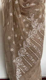 Embroidery on the camel beige saree, close view