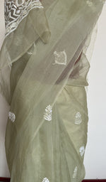 Sage green organza silk saree, lower half