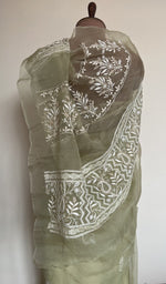 Embroidery on the sage green saree, close view