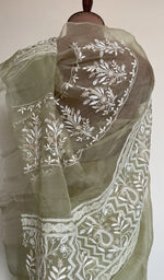 Saree on the mannequin, back view