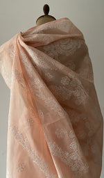 Pallu laid over the shoulder