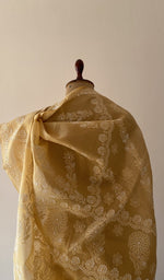 Pallu laid over the shoulder