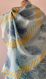 Pallu laid over the shoulder