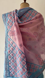 Pallu laid over the shoulder