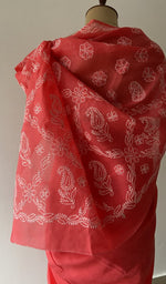 Pallu laid over the shoulder