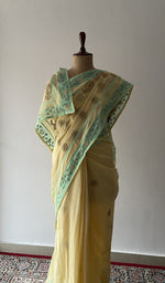 Pallu laid over the shoulder