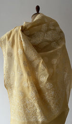 Pallu laid over the shoulder