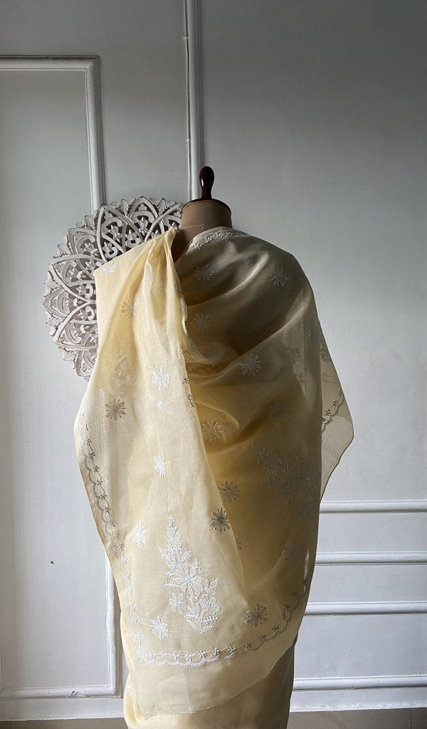 Pale yellow cotton voile saree, back of the drape