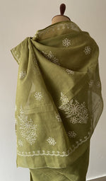 Pallu laid over the shoulder