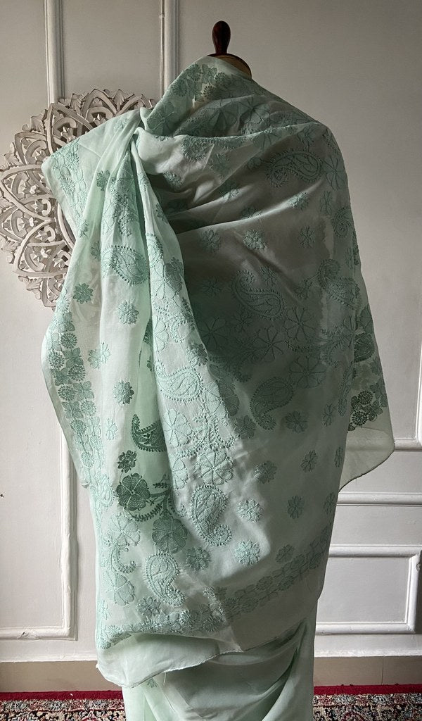 Body of the sea green saree, chikankari across the ground