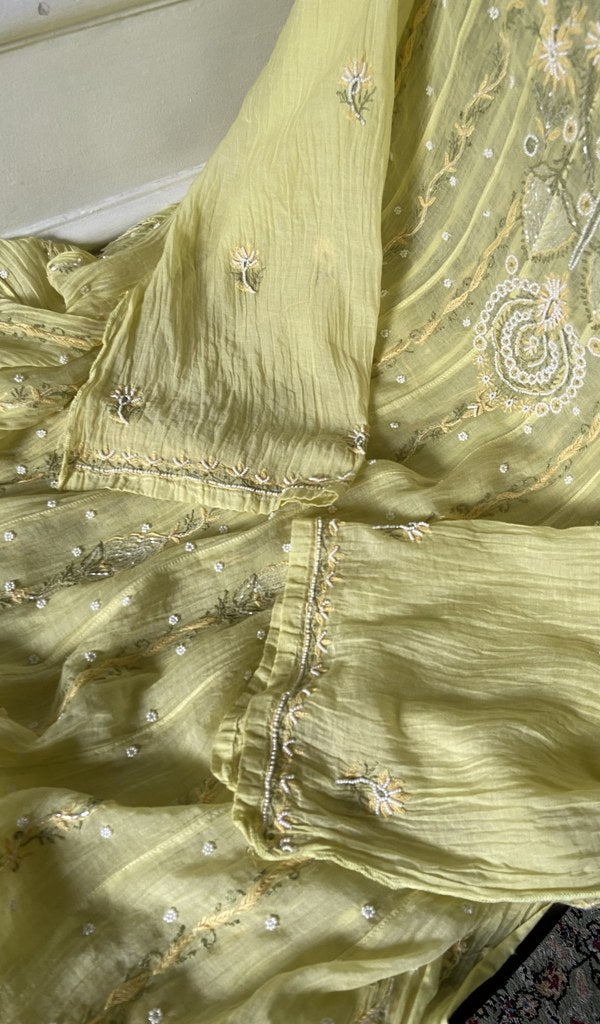 front back chikankari anarkali across the kurta