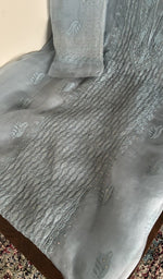 Do taar and teen taar heavy chikankari on panel on the sky blue organza silk