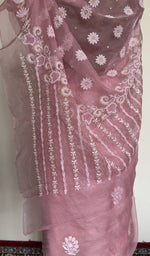 Saree on the mannequin, back view