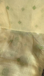 Dupatta laid over the kurta, pure organza silk