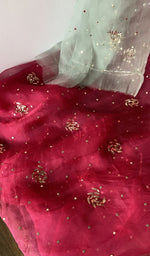 Dupatta laid over the kurta, pure organza silk