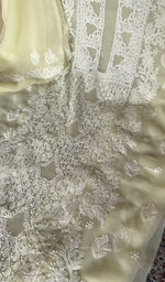 Fine chikankari on panel and motifs on the cream faux georgette