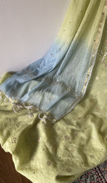 Gala and front placket, mukaish work and badla work
