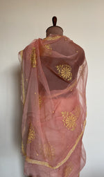 Coral organza silk saree, lower half