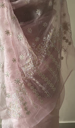 Embroidery on the baby pink saree, close view