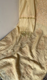 Close look at the fine chikankari on gala and boota with beads and sequins
