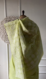 将图像加载到图库查看器中， Close view of the stitchwork on the lime green saree