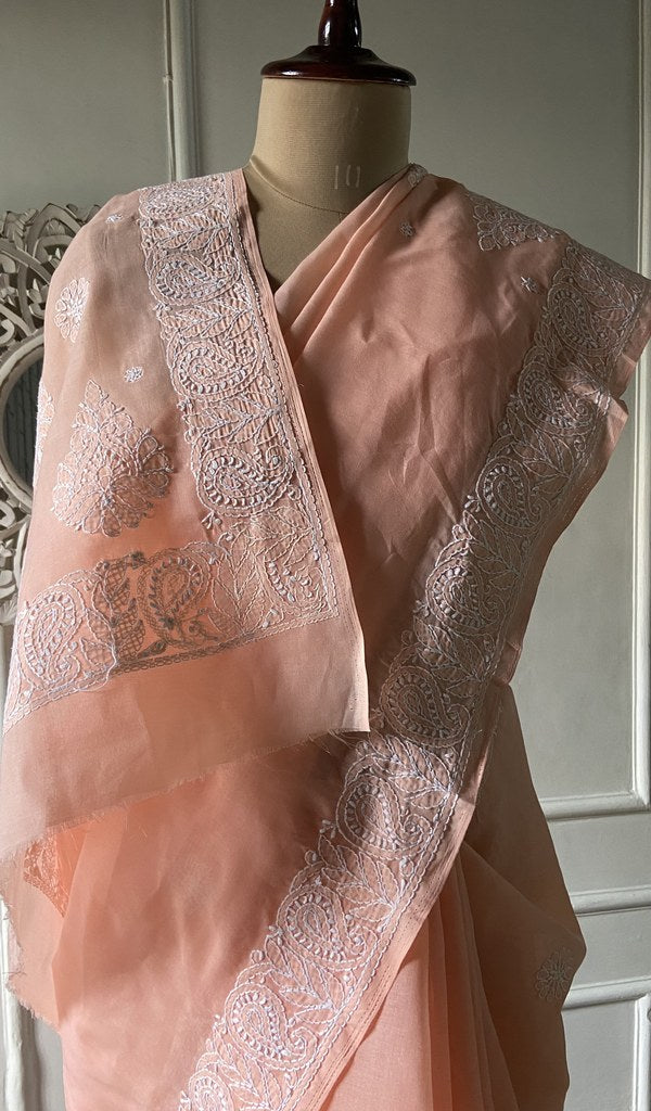 Pallu folded over the shoulder, work visible