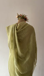 The pallu spread out
