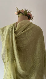 Another look at the saree, fine chikankari on border pallu and allover