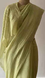 Fine chikankari on border pallu and allover across the pallu