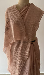 Fine chikankari on border pallu and allover across the pallu