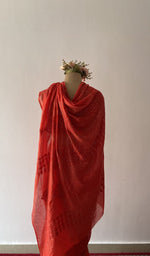 Close on the body of the saree