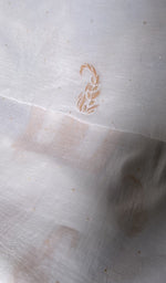 Load image into Gallery viewer, dupatta chikankari detail, white pure mul chanderi