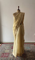 Zaira — Yellow Chanderi Cotton Chikankari Saree