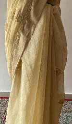 Fine chikankari on border and pallu across the pallu