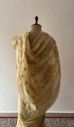 Close on the body of the saree